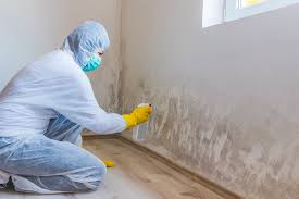 Why You Should Choose Our Mold Remediation Services in Pullman, WA