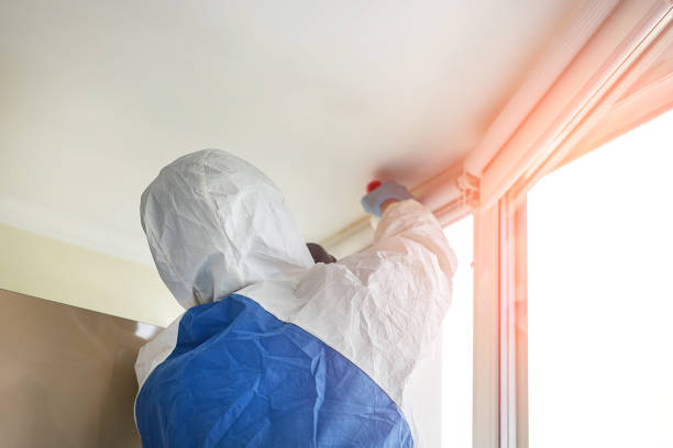 Mold Documentation for Insurance Claims in Pullman, WA